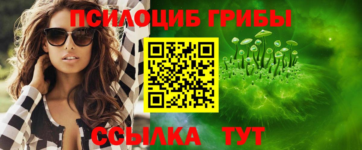 Псилоцибиновые грибы Psilocybe  Галлюциногенные грибы мицелий  Вход с VPN  где купить наркотик  Лабинск 
